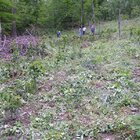 20112308130806-504.jpg